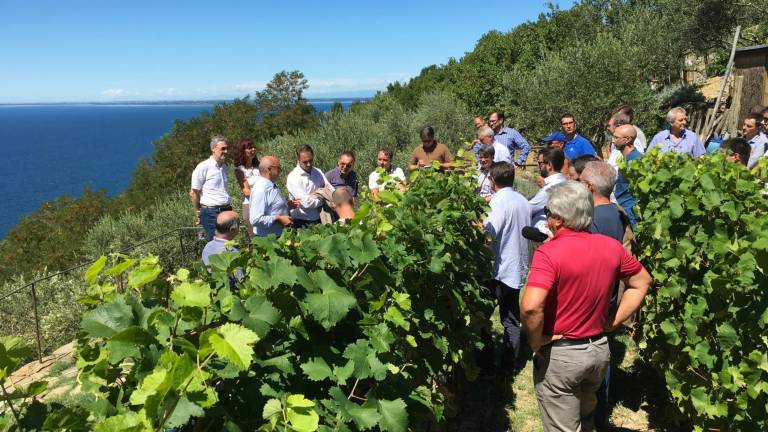 Vinogradniki pisali ministru Martini