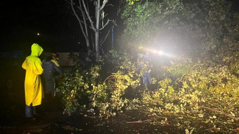 Neurje povzročilo težave tudi v doberdobski občini (video)