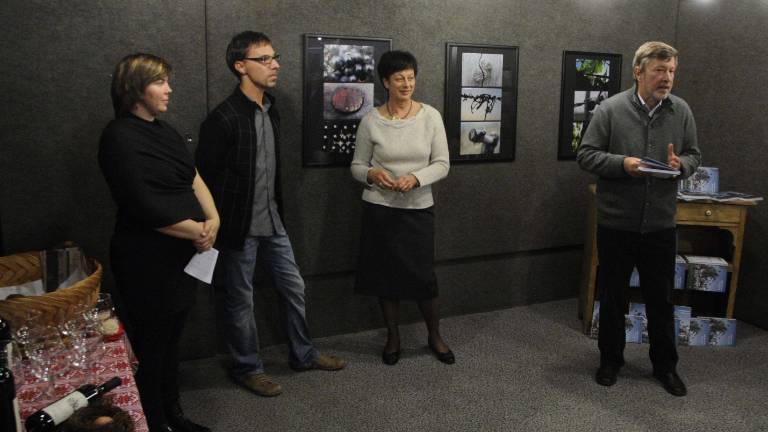 Praznično obarvan Jadranski koledar