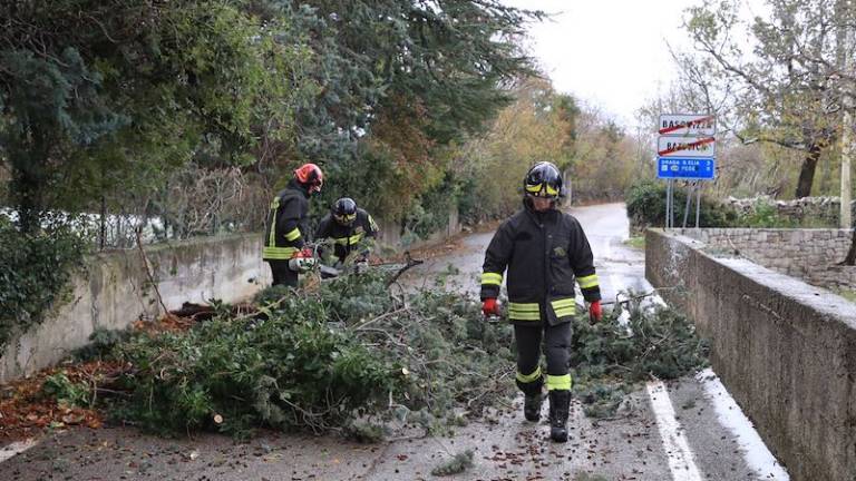 Zaradi burje imajo gasilci polne roke dela
