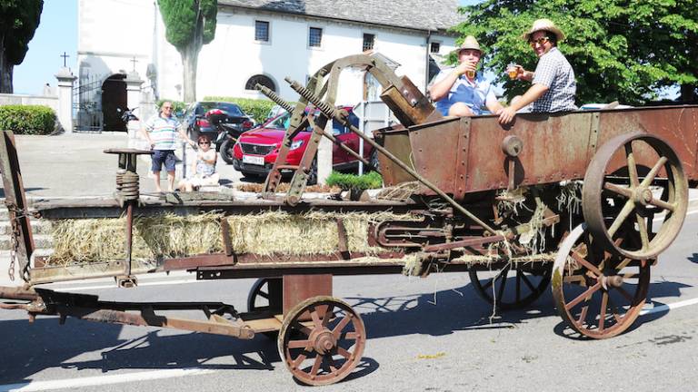 Pojedli 400 kg pr&scaron;uta in spili 1400 litrov terana