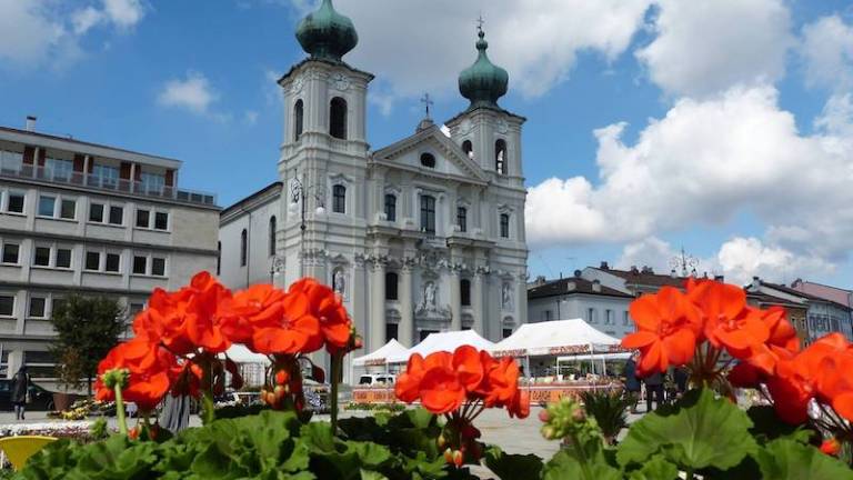 Gori&scaron;ki Travnik je zacvetel