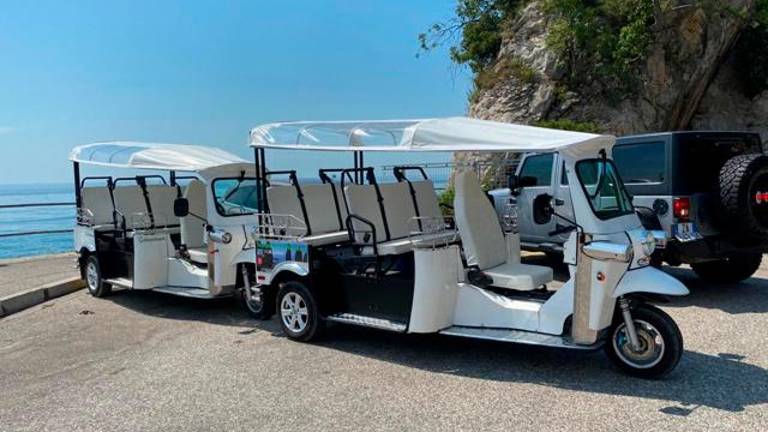 Po Miramarskem parku z električnimi vozili