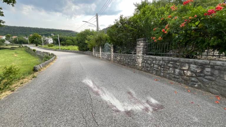 V Repnu ugasnilo mlado življenje