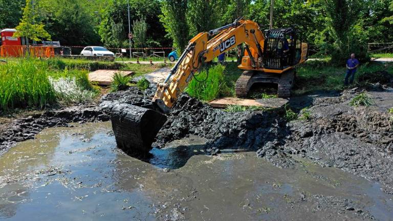 Mlaki nameravajo povrniti nekdanji čar