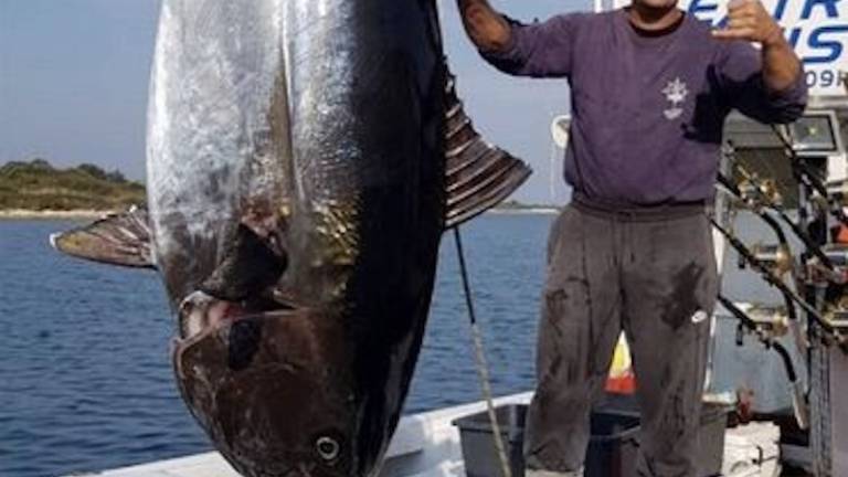 Ulovil 317 kg težko tuno