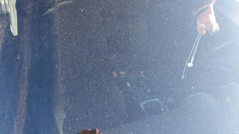 Arpa preverja izvor prahu