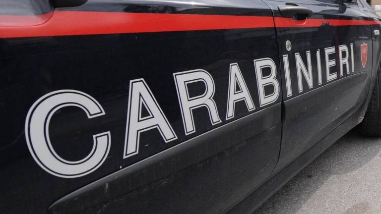 Razbojni&scaron;ka dvojčka