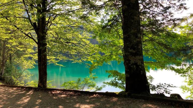 Mrazišče pri Beli peči danes najtoplejši kraj v FJK