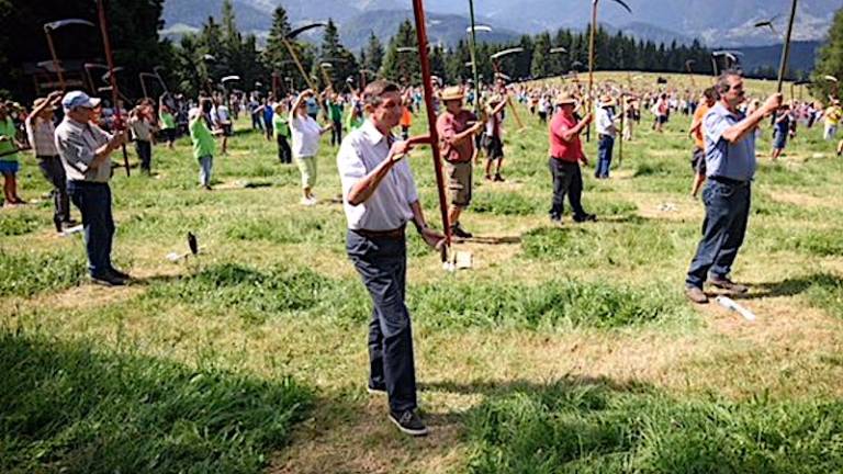 Predsednik Pahor tokrat kosec