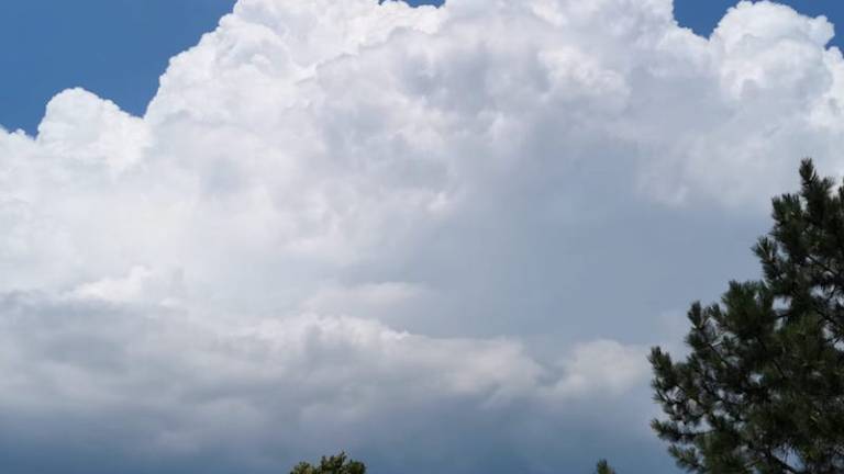 Jutri prihaja vi&scaron;inska dolina