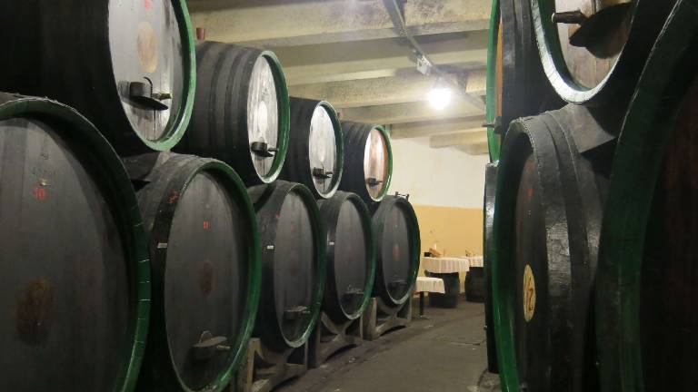 Vino in turizem z roko v roki