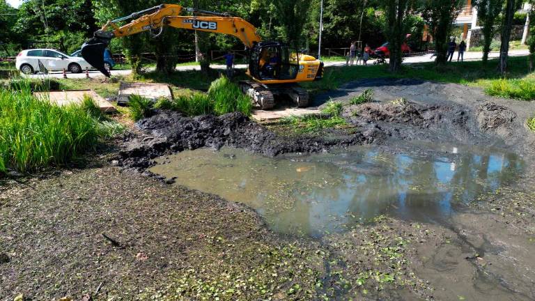 Mlaki nameravajo povrniti nekdanji čar
