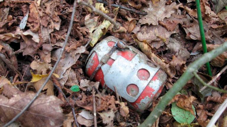 V gozdu pod Ferlugi našli manjšo neeksplodirano bombo