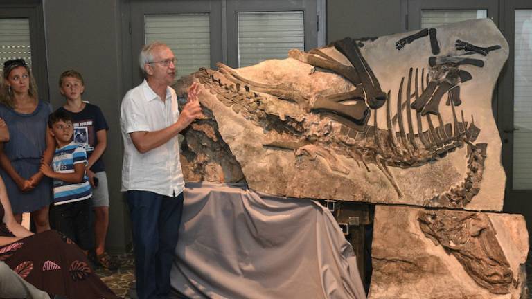 Dinozaver Bruno je večji in krepkej&scaron;i