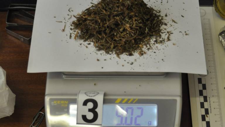 Zasegli 35 kilogramov mehkih drog