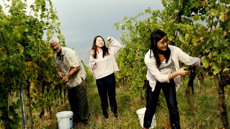 Nova turistična zgodba Vipavske doline