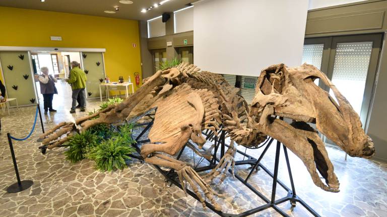 Dinozaver Laura vabi