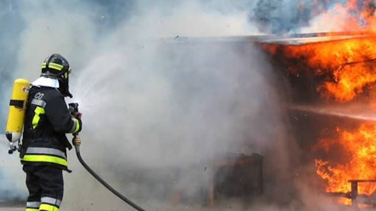 Gorel toaletni papir