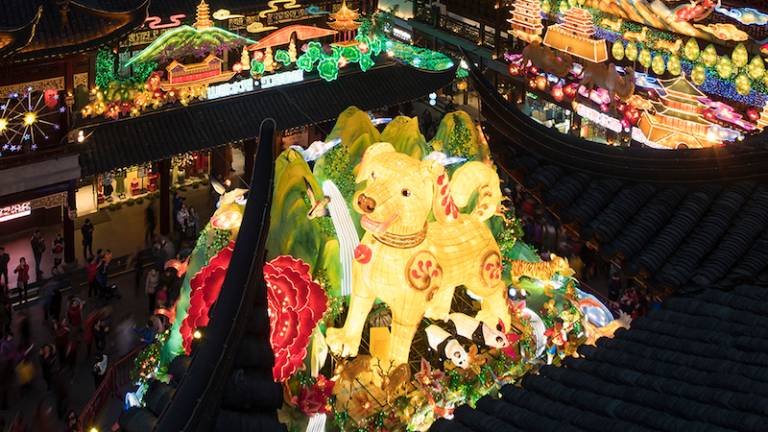 Za Kitajce se začenja novo leto v znamenju psa