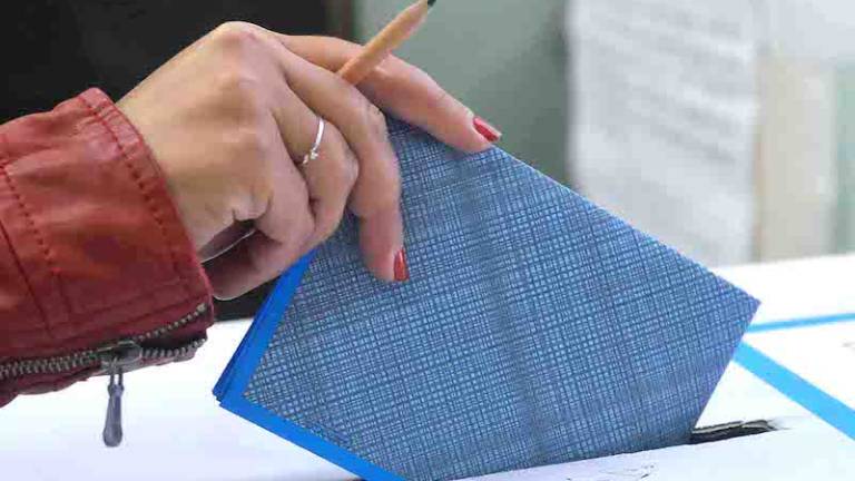 Kaj pi&scaron;e v volilnih programih?