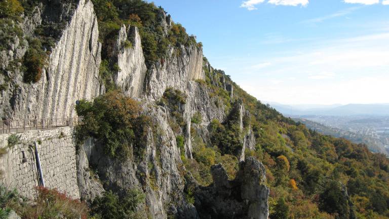 Na Napoleonski cesti se je poškodovala kolesarka