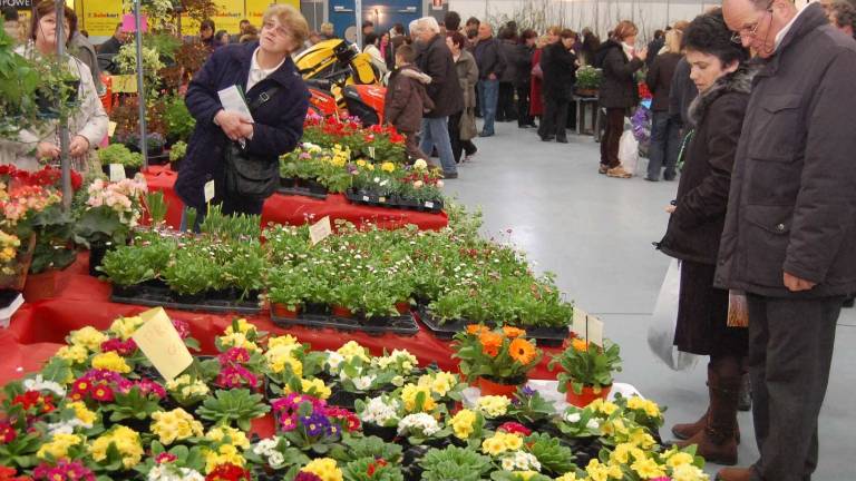 Vrača se sejem vrtnih mojstrov