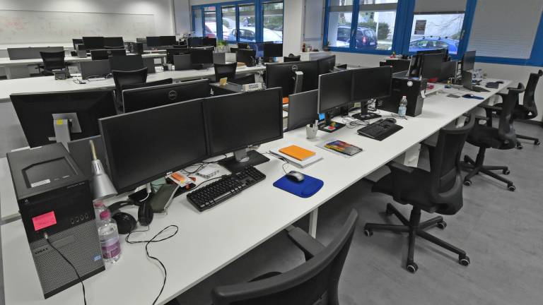 Esteco - cvet v gumbnici znanstvenega parka