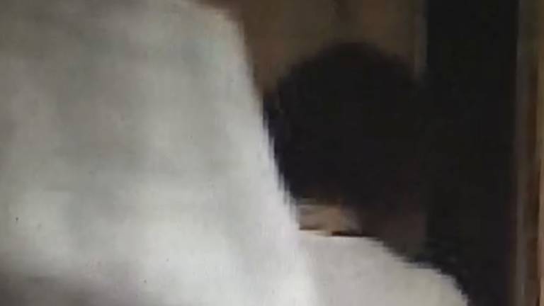 Negovalka kradla na domu delodajalke