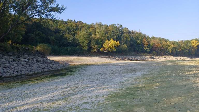 Soča pri sotočju z Vipavo poponoma presahnila (VIDEO)