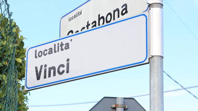 V mestu ne bo slovenskih ledinskih imen