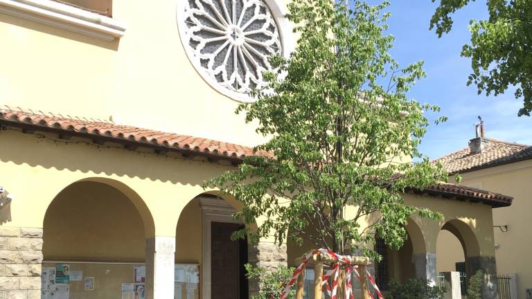 Pred barkovljansko cerkvijo so posadili novo lipo