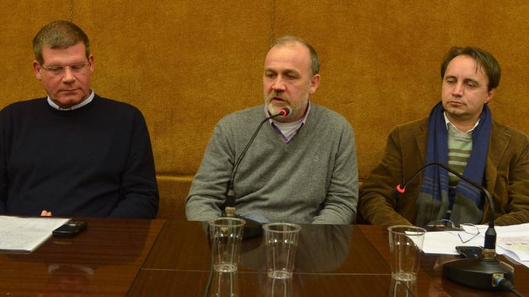 Grillo, čriček ali lisica?