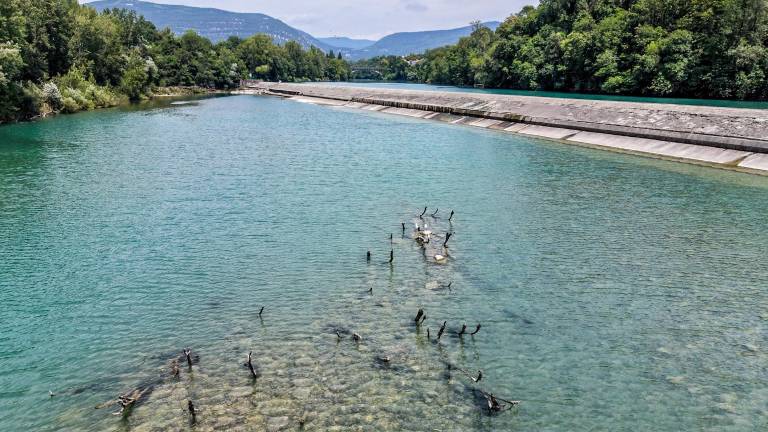 Naplavine za solkanskim jezom novi okoljski vozel za reko Sočo