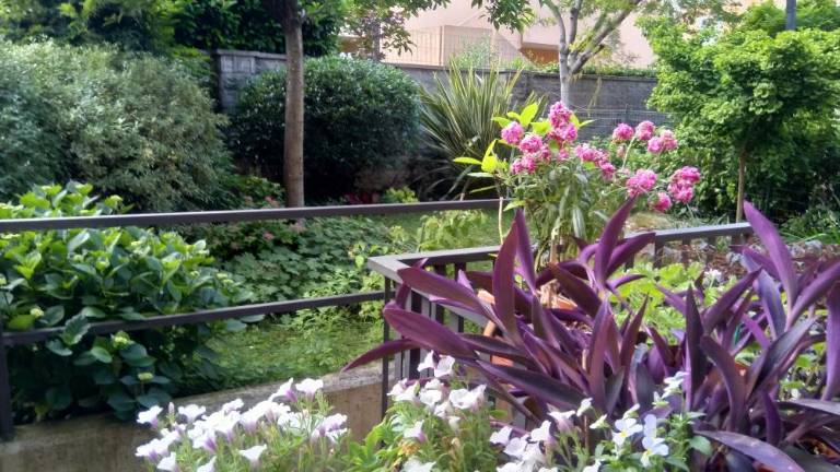 »Z rožami stavba oživi«