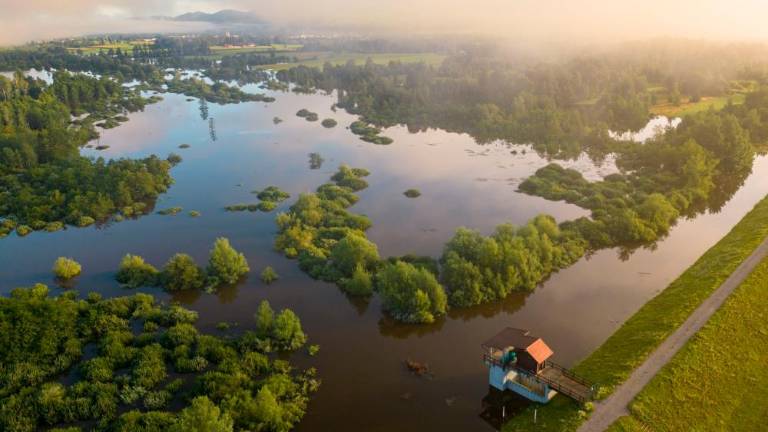 V Sloveniji bo 14. avgust dan solidarnosti in dela prost dan