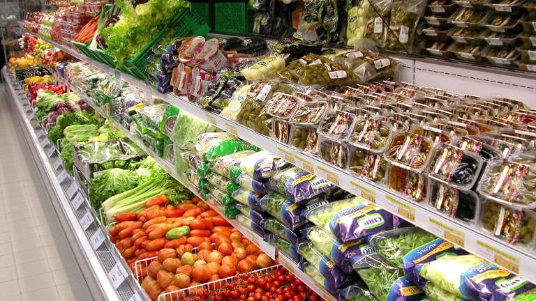 Državljanski dohodek »orodje v boju proti revščini«