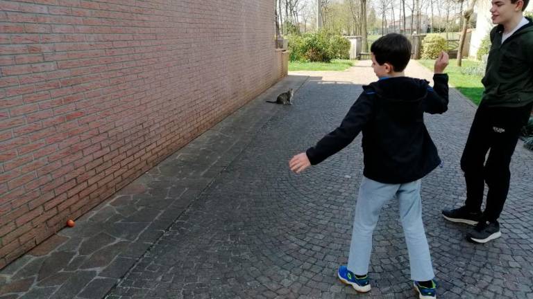 Po barvanju še »šticanje«