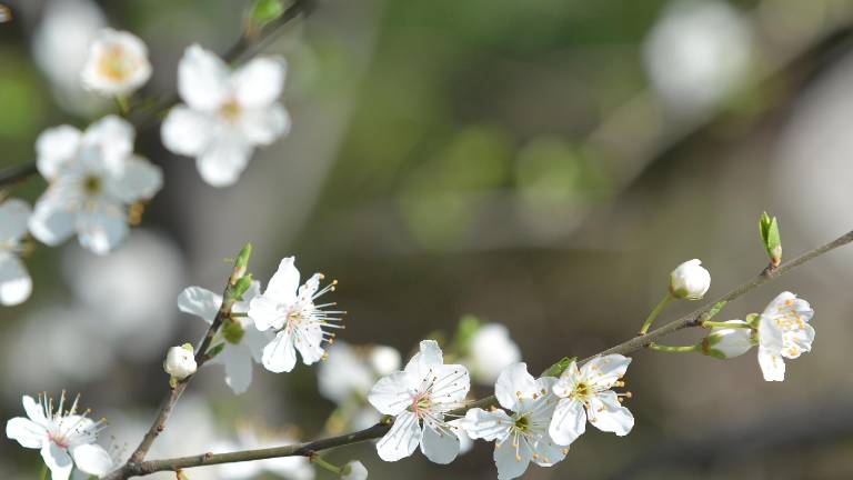 Naravno ravnovesje je &scaron;lo po vodi