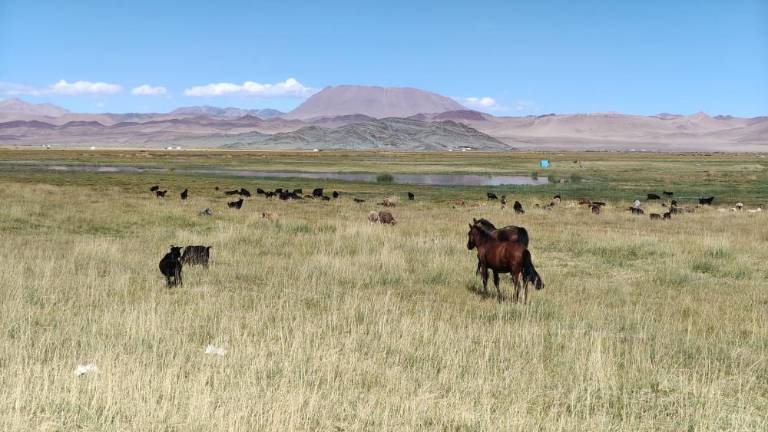 Nazaj s polnim rezervoarjem človeškosti