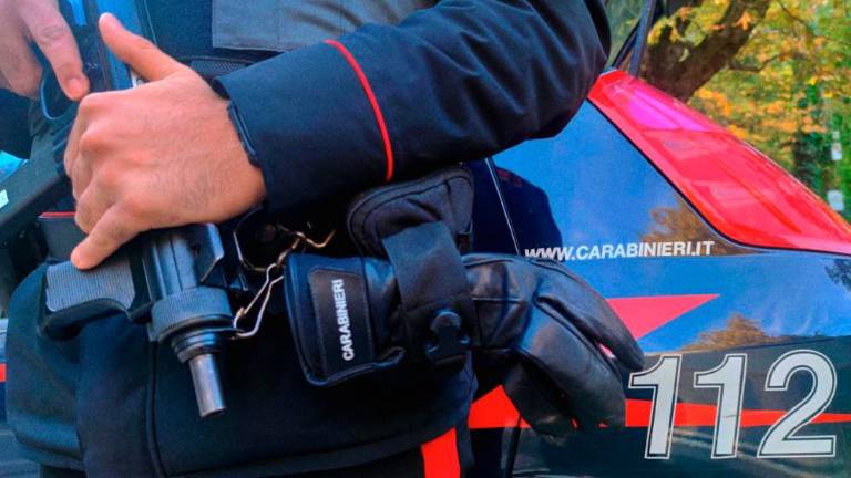 Oropal in poškodoval starejši ženski