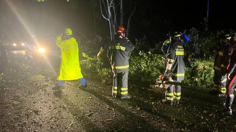 Neurje povzročilo težave tudi v doberdobski občini (video)