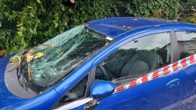 Na zavarovanjih se poznajo posledice toče izpred dveh let