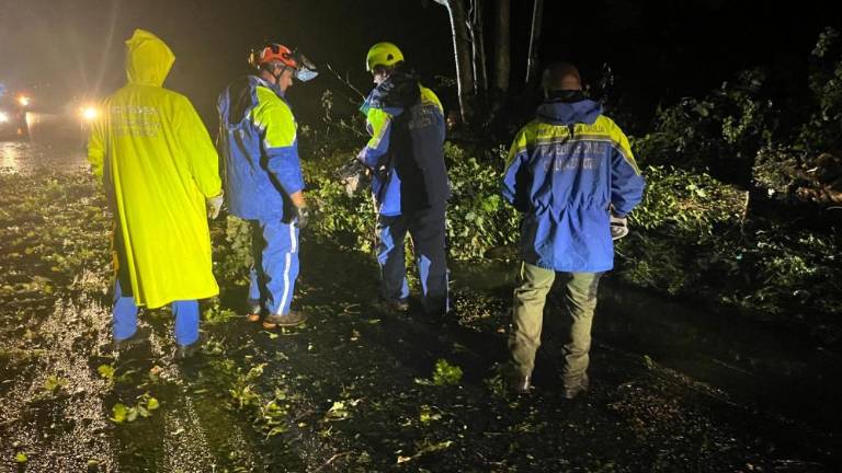 Neurje povzročilo težave tudi v doberdobski občini (video)