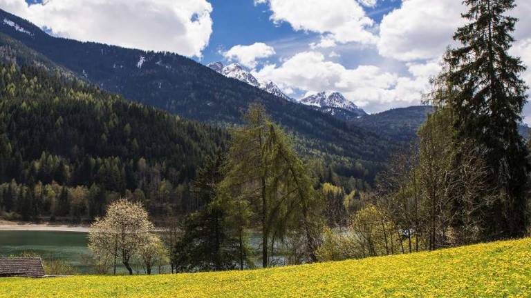 Vrača se pomlad