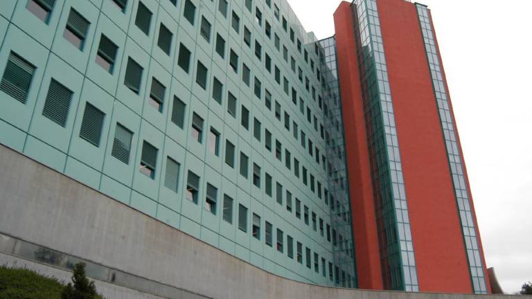 Izbrali strokovno direktorico