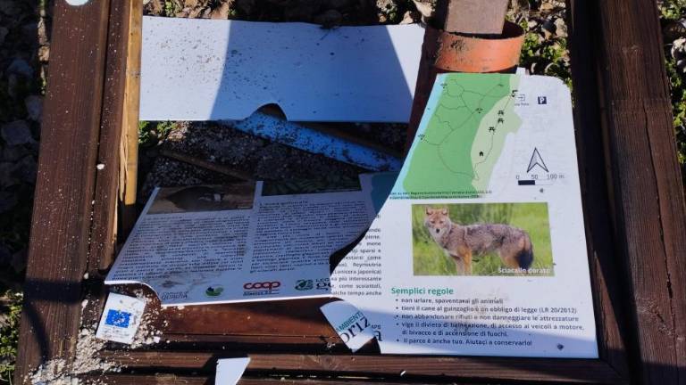 Znesli so se nad tablami, knjigobežnico in medvedko