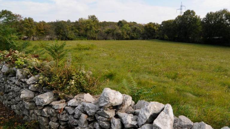 V Medjevasi srečanje SSk o jusih in srenjah