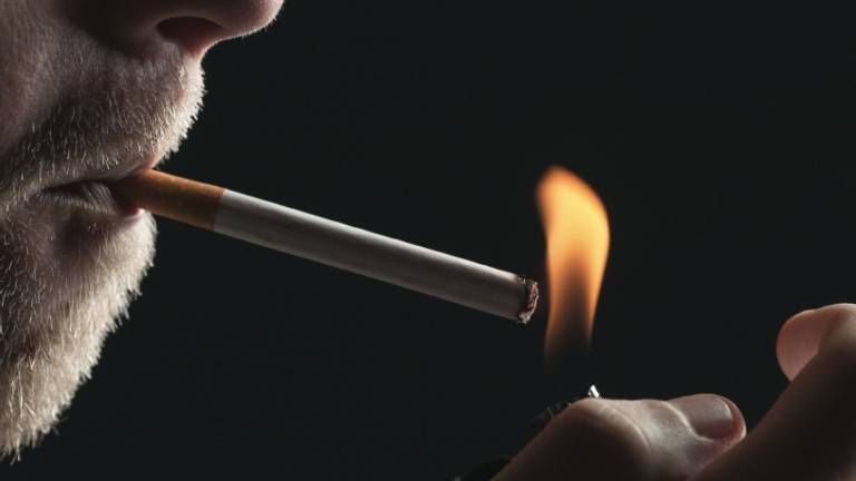 Kajenje in japonke strogo prepovedani!