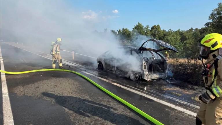 Zgorel avtomobil, požar se je razširil na bližnje grmičevje